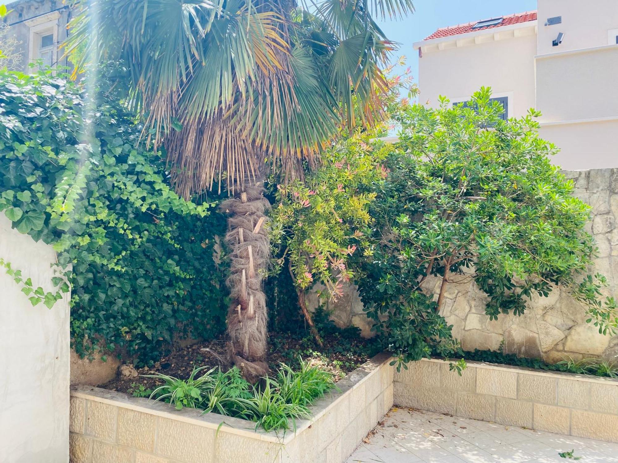 דוברובניק Pafi Apartment מראה חיצוני תמונה